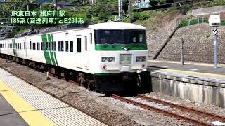 185系とE231系が発車する根府川駅