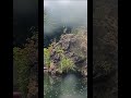 メガネループ オリーブ通信