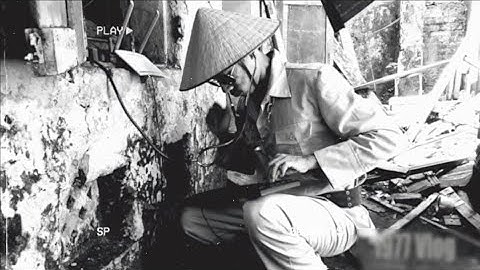 " How to hack wifi nhà anh dậu " - 1977 Vlog | Lofi Sad