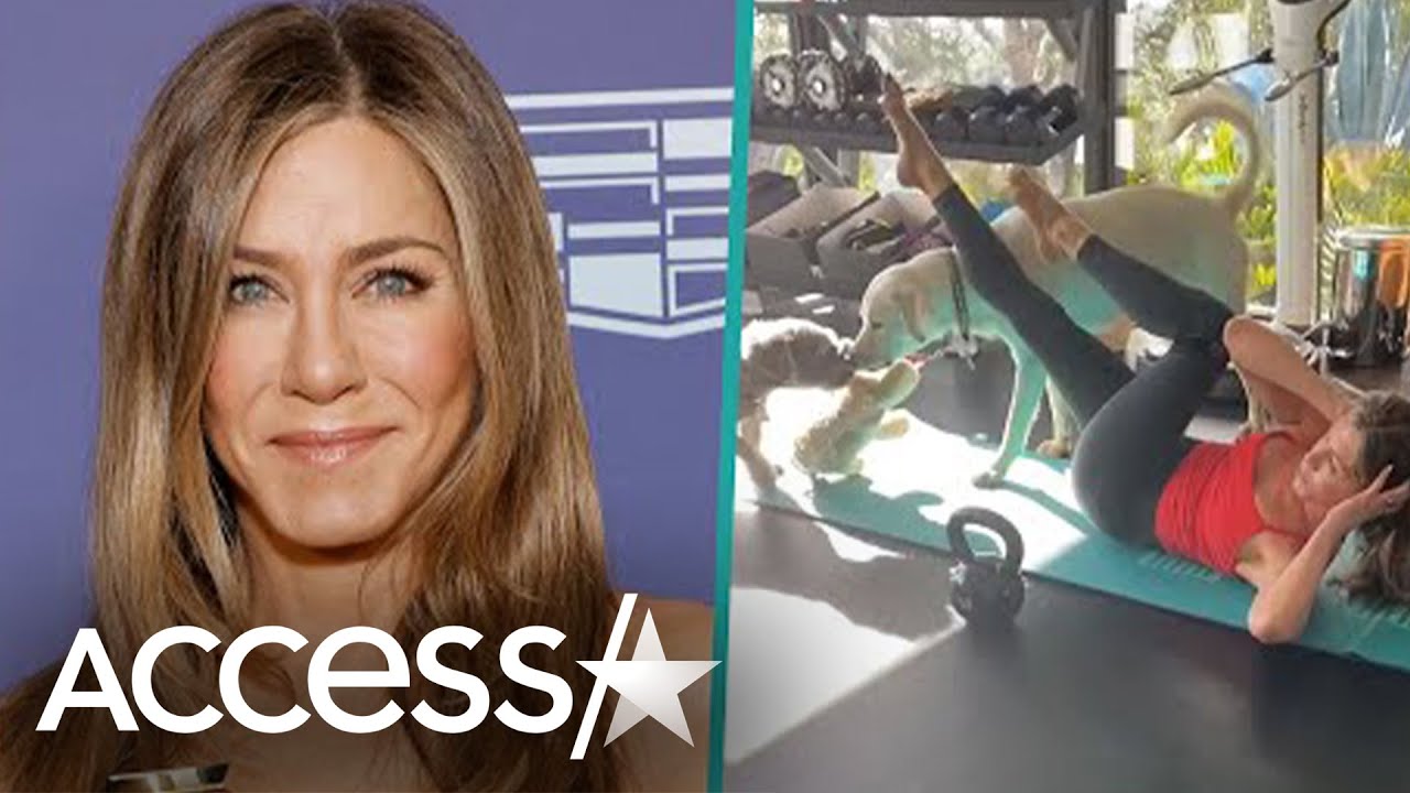Jennifer Aniston's Dogs Hilariously Crash Her Workout YouTube
