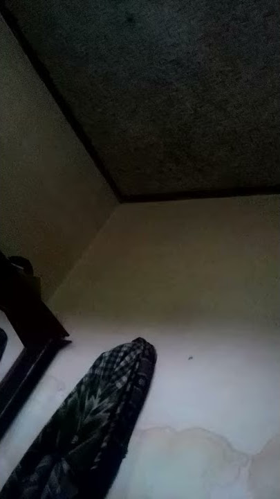 Ngagur