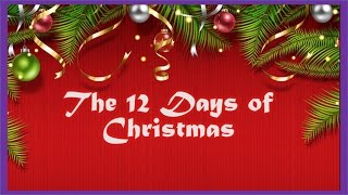 George The Self Esteem Cat 12 Days Of Christmas