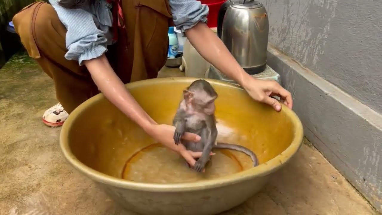 Koy tri to run esc..pe from bath in the morning 