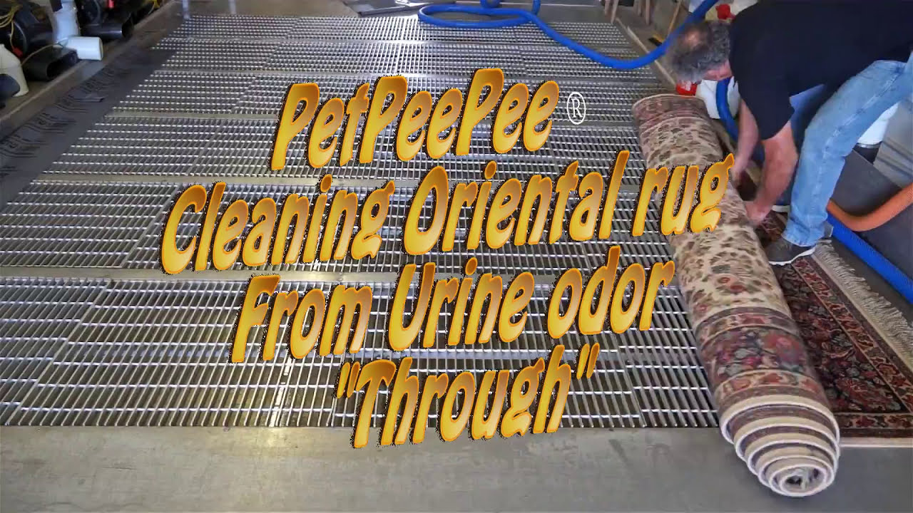 Oriental rug cleaning from Urine smells by PetPeePee® YouTube