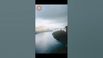 سورة الفاتحة بقراءة فضيله الشيخ محمد اللحيدان 🥰 + اكتب شيء تؤجر عليه يوم القيامة ❤️ #قران_كريم