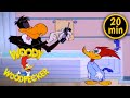 Woody's Roommate | 3 Full Episodes | Woody Woodpecker