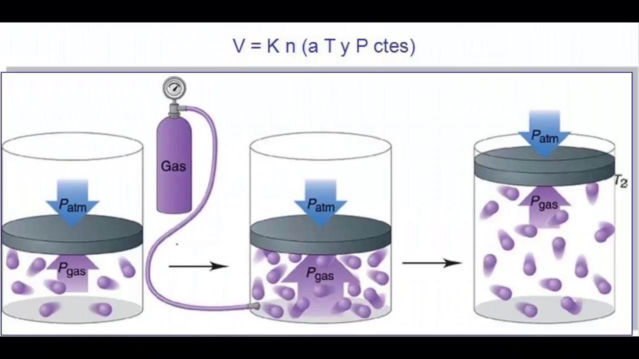 Modelo cinético de partículas - YouTube