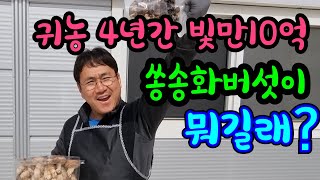 쏭송화버섯 귀농빛 10억 송이맛표고향으로 승부한 예담농원대표