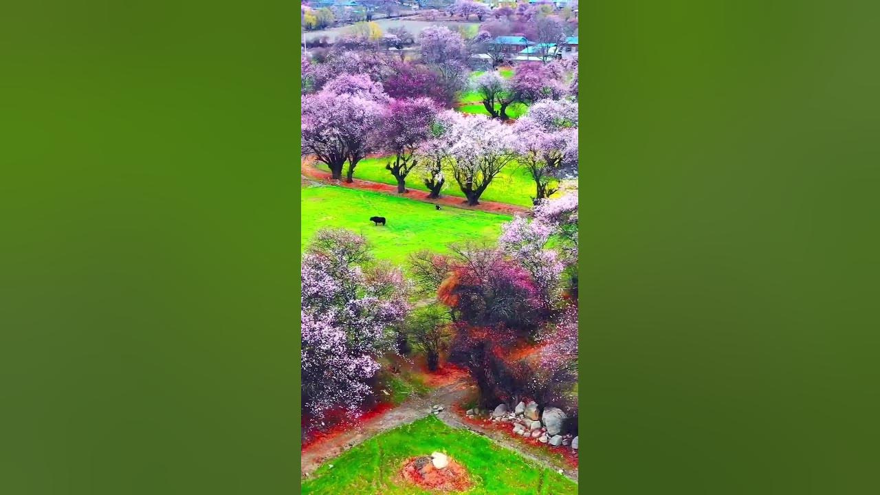 #cover #song #lyrics #coversong #gigachadtheme #travel #motivation #mountains #nature #music #cover #song #lyrics #coversong #gigachadtheme #travel #motivation #mountains #nature #music