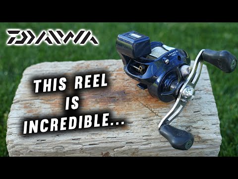 Light, Durable, and Affordable! -Diawa Lexa LC Full Review- 