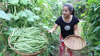 New Season Of Green Beans In My Vegetable Garden - 2 Recipes With Green Beans - Cooking With Sreypov