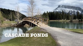 Cascade Ponds | Best Picnic Spot | Banff, Alberta | Canada Travel