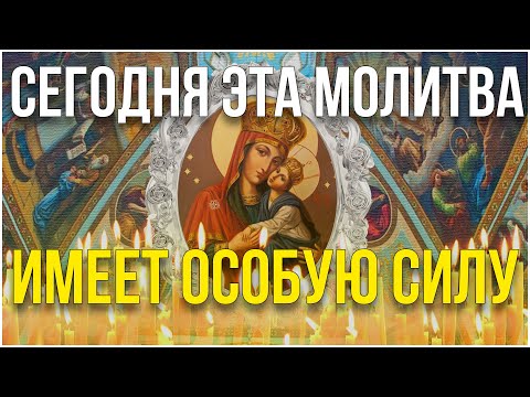 Брось все дела