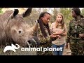 O trabalho das Black Mambas para proteger rinocerontes | A Família Irwin | Animal Planet Brasil