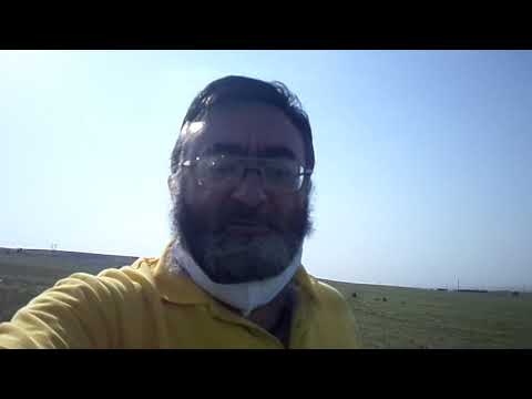 სააგენტო/LADO$AXLEBI/-DAGEXMAREBAT-მიწის ნაკვეთების ყიდვა-გაყიდვაში-ტ/593165823.ლადო.