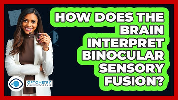 How Does The Brain Interpret Binocular Sensory Fusion?