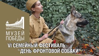 Vi Семейный Фестиваль “День Фронтовой Собаки”