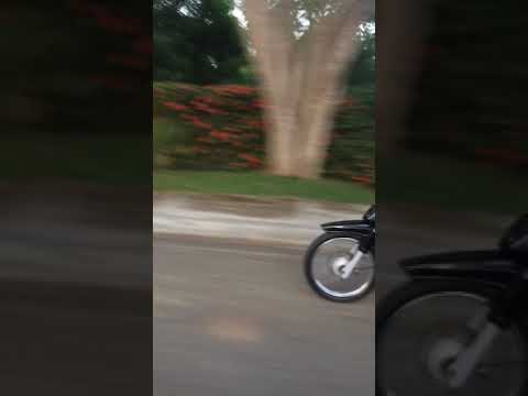 Yamaha crypton 105