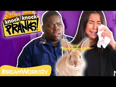 Pet Funeral PRANK