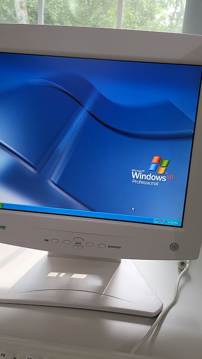 DO NOT Connect Windows XP To The Internet #shorts
