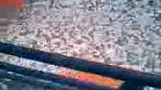 Saronikos Blue Sharks