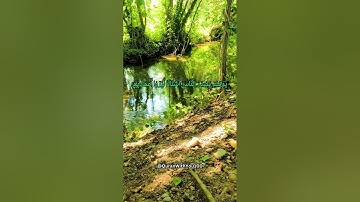 سورة الزلزلة / بصوت هادئ وجميل للنوم - القرآن الكريم