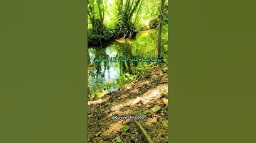سورة الزلزلة / بصوت هادئ وجميل للنوم - القرآن الكريم