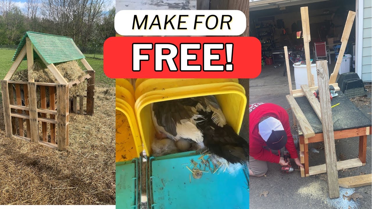 Pallet Projects and other free DIY for the homestead - YouTube