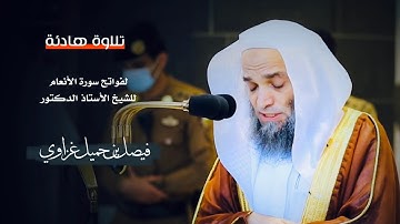تلاوة هادئة لفواتح سورة الأنعام للشيخ : أ.د.فيصل بن جميل غزاوي
