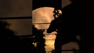 Heaven Knows  Rick Price Ll Fingerstyle Guitar Cover