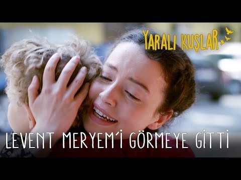 Levent Meryem'i Görmeye Gitti | Yaralı Kuşlar 47. Bölüm