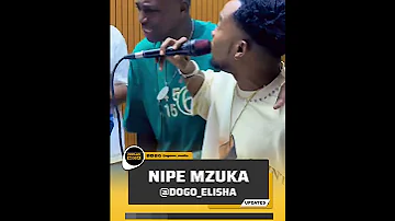 NIPE MZUKA DOGO ELISHA 
