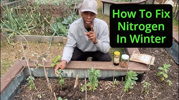 Inoculating Beans for FREE nitrogen! ❄️ Winter planting