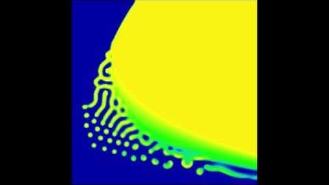 WNT:BMP gradient simulation