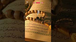 تلاوت القرآن الم ذالك الكتاب لا ريب فيه ه‍دى للمتقين by Hafiz Hamza #beautifulquran  #nature