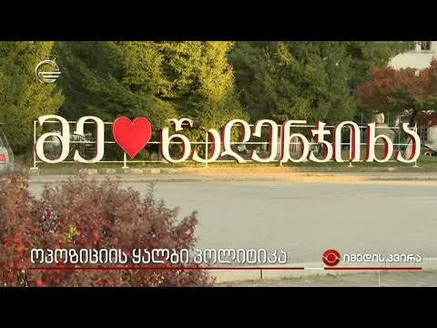 ოპოზიციის ყალბი პოლიტიკა