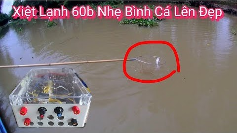 Test Xiệt Lạnh 60b bao cá da trơn nỏi đẹp Thả Cáp Lạnh Miền Tây