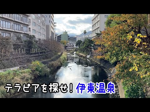 テラピアを探せ！伊東温泉編