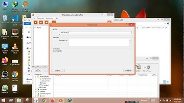 How to Download Mega Files With IDM | 100% Working (2021)