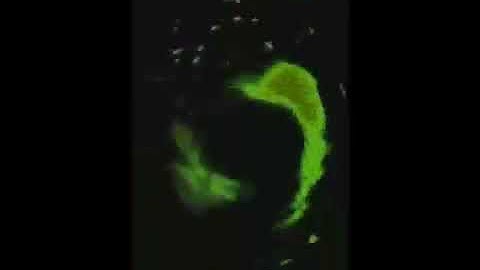 (MOST POPULAR VIDEO) Samsung Galaxy S2 Effects 1 Reversed