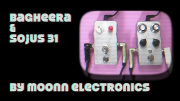 Moonn Electronics - Bagheera & Sojus 31