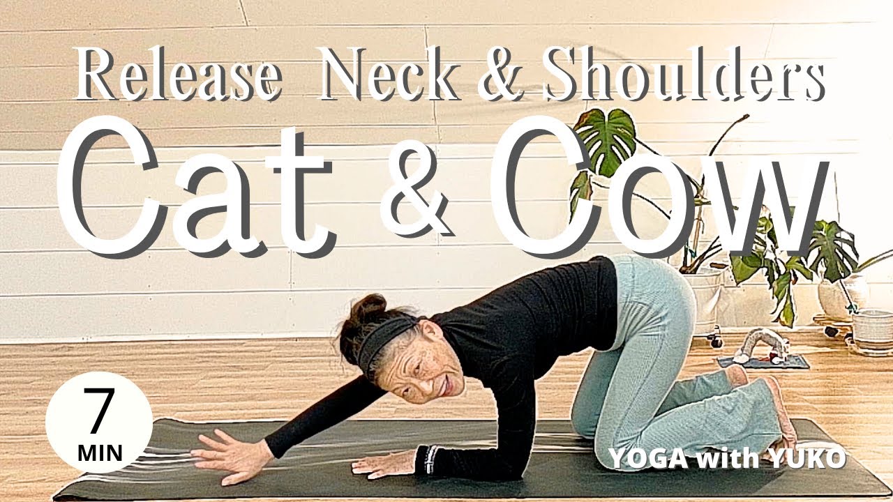 [Upper Body TLC] Cat & Cow to Release Neck & Shoulder