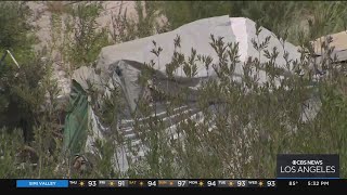 Riverside City Council bans homeless encampments in fire-prone areas