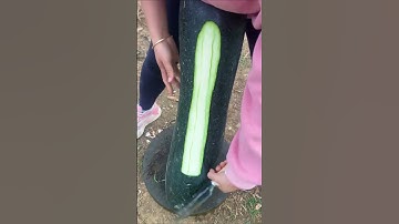 GI599953 mini rotary tillage and ridging all-in one tree 🌲 short view#shorts #viral #subscribe