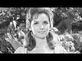 Remembering The Beautiful Dawn Wells