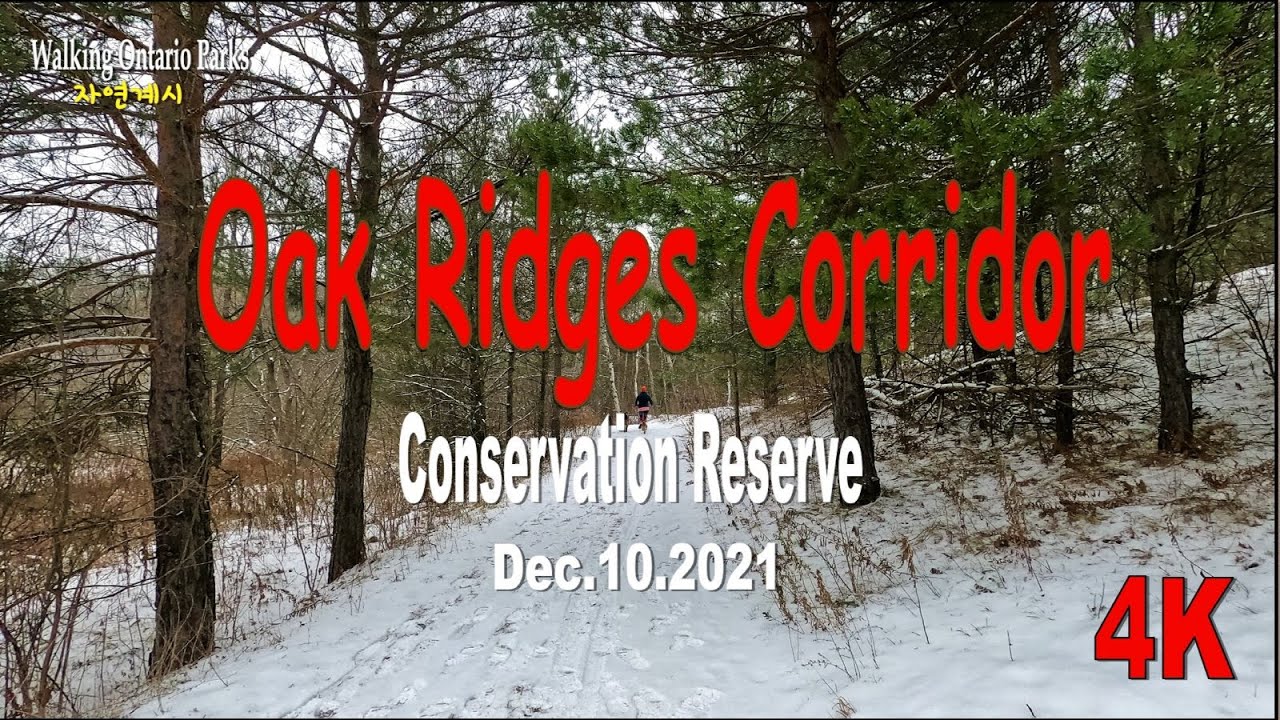[4K] Oak Ridges Corridor Trail, Richmond Hill, #1, [Dec. 10, 2021 ...