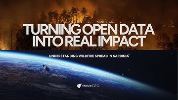 From Satellite Data to Action: Mapping Wildfires in Sardinia