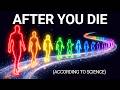 Where You Go After Death According to Science