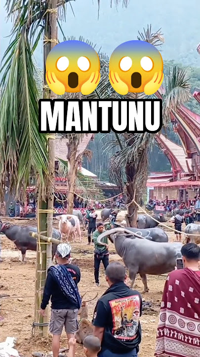 Mantunu tradisi pemakaman adat suku Toraja
