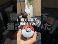 仕事中に新オフィスで寝てる部下にモンスターボール投げてみた。
